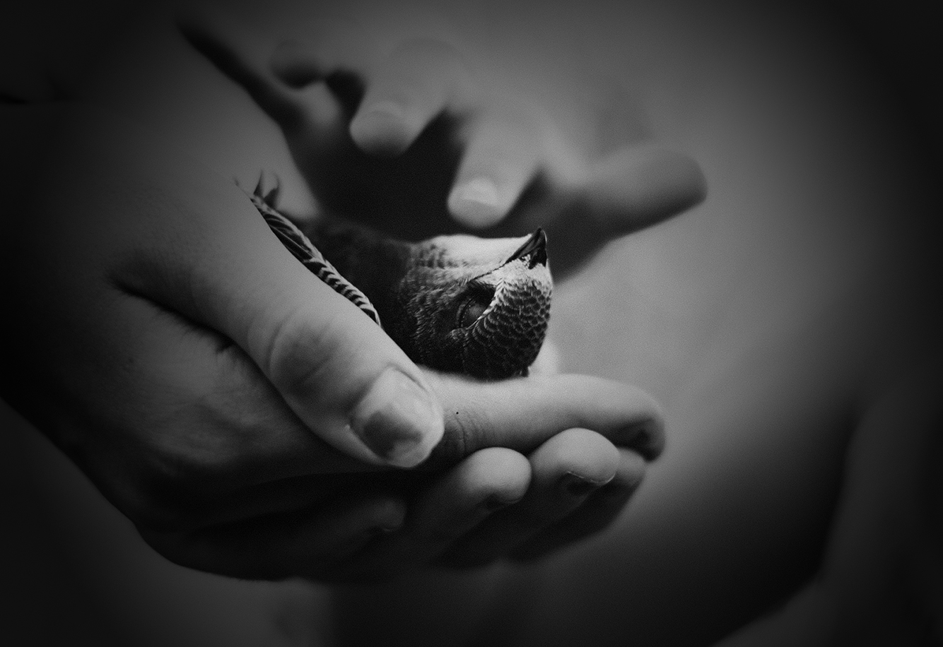 Escritura Terapéutica